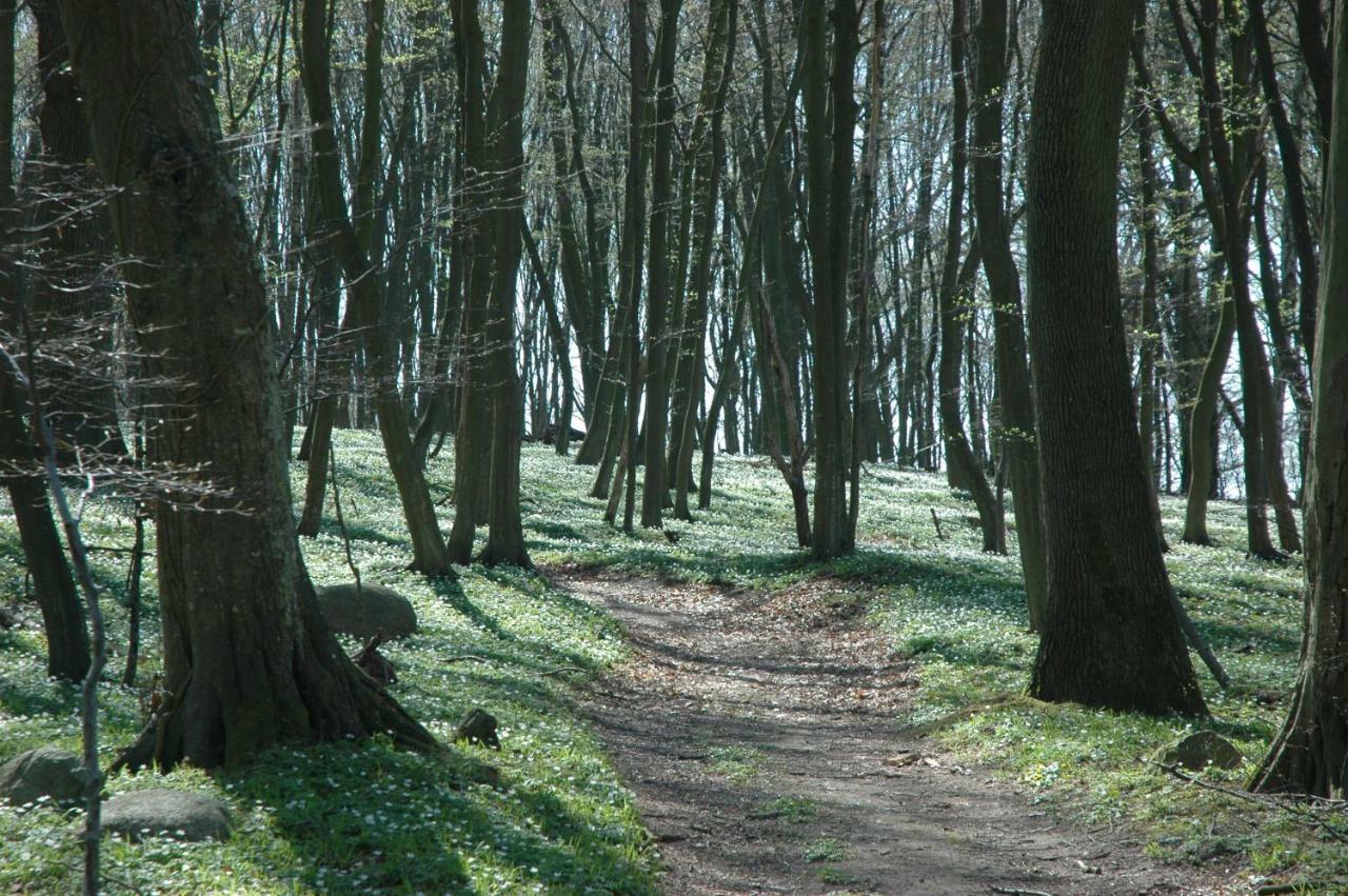 Willa Hof Vilmnitz Haus A Putbus Zewnętrze zdjęcie